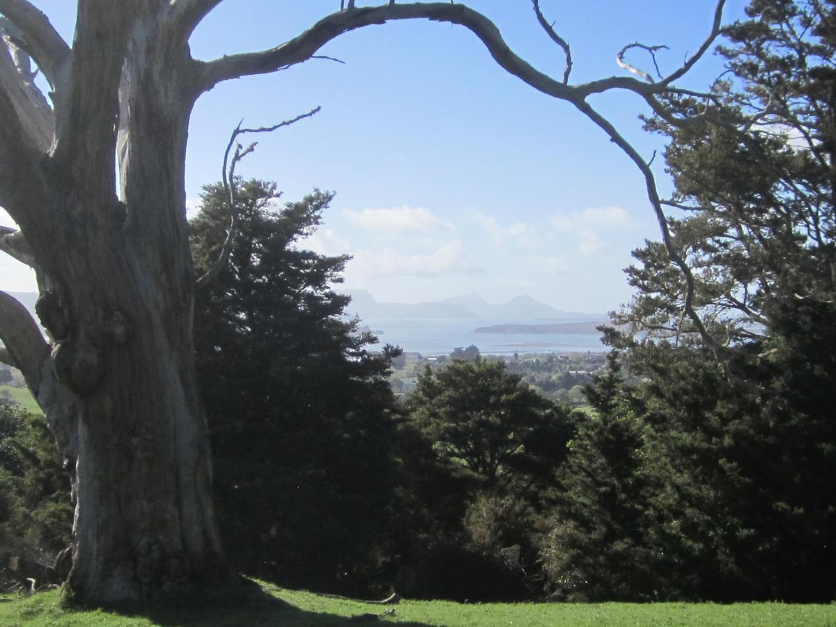 Hyecroft Lodge Whangarei Eksteriør bilde