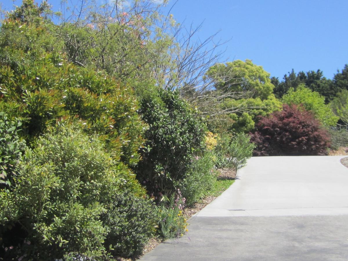 Hyecroft Lodge Whangarei Eksteriør bilde